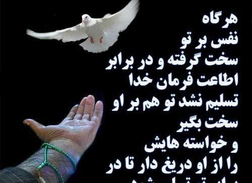 عکس نوشته نفس اماره