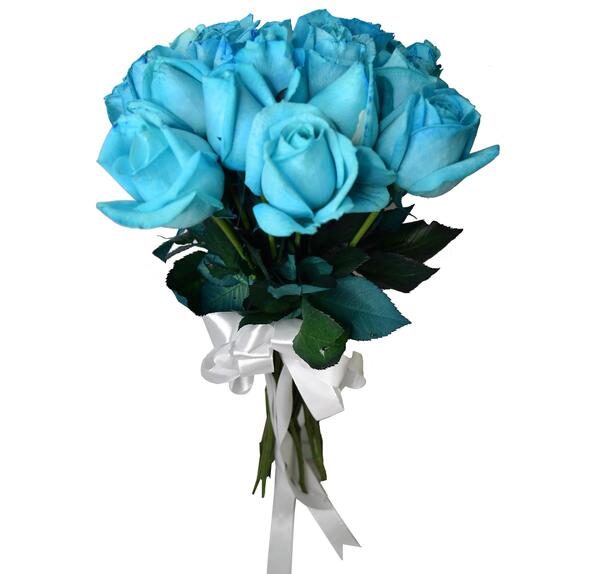 عکس دسته گل رز آبی طبیعی