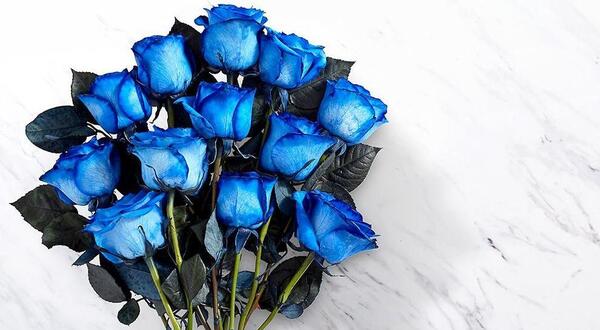 عکس دسته گل رز آبی طبیعی