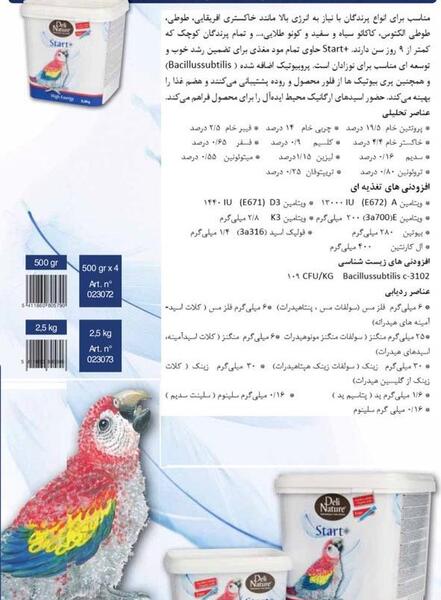 عکس طوطی گالارز