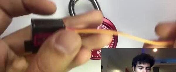 عکس گاو صندوق با کارتن