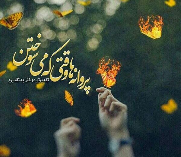 عکس نوشته های پروانه حسینی