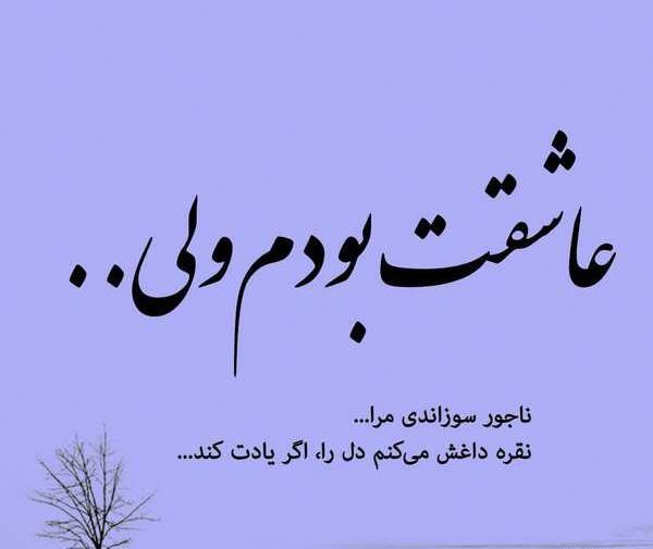 عکس نوشته های پروانه حسینی