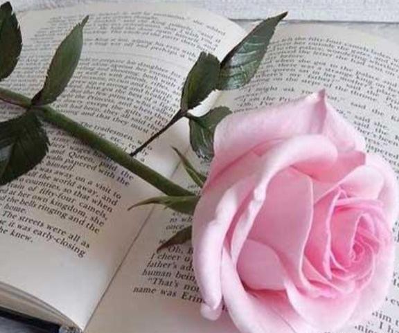 عکس کتاب صورتی
