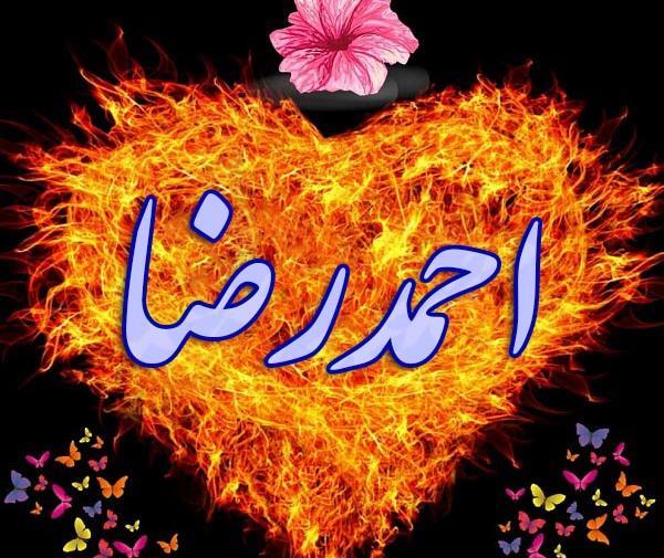عکس نوشته رضا به انگلیسی