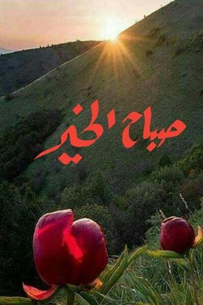عکس صبح بخیر متحرک عربی