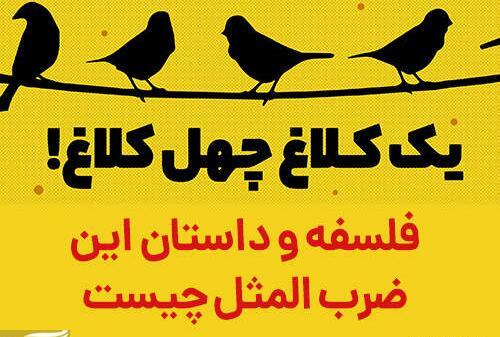 عکس ضرب المثل یک کلاغ چهل کلاغ