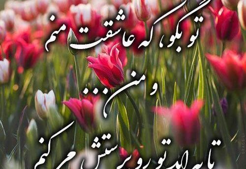 عکس های گل های عاشقانه