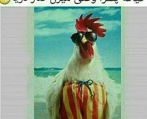 عکس خنده دار پسرونه