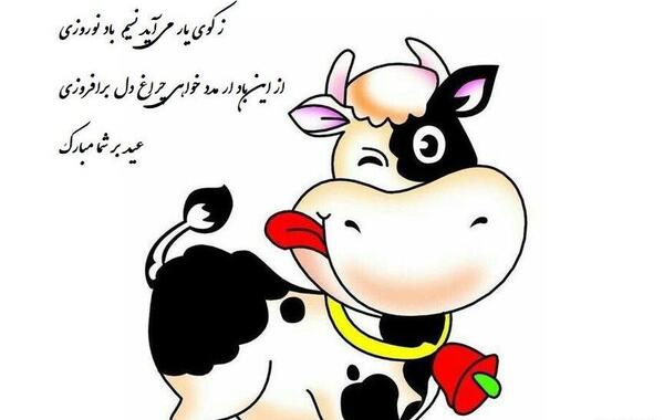 عکس گاو امسال