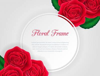 عکس گل رز فتوشاپ