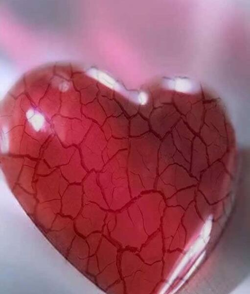 عکس قلب له شده