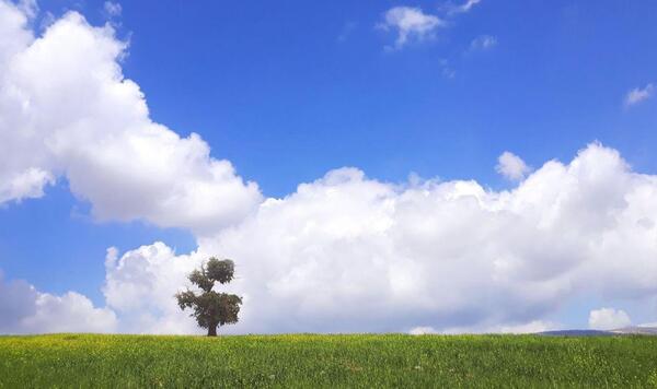 عکس طبیعت ظهر