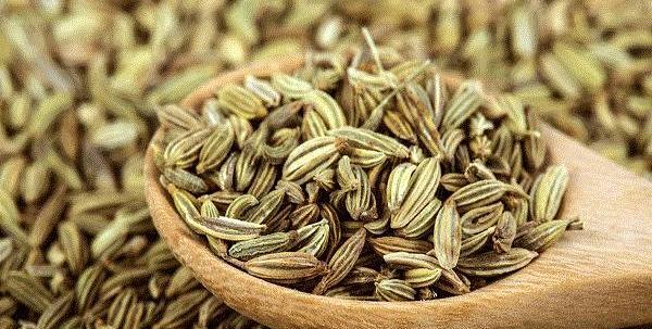 عکس دمنوش رازیانه