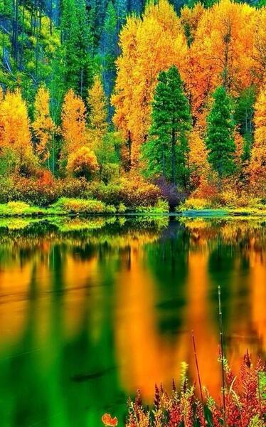 عکس طبیعت کیفیت بالا