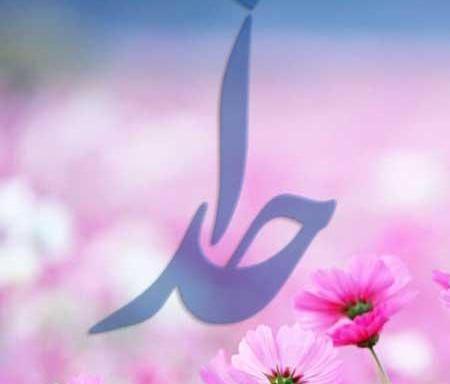 عکس خدا گل