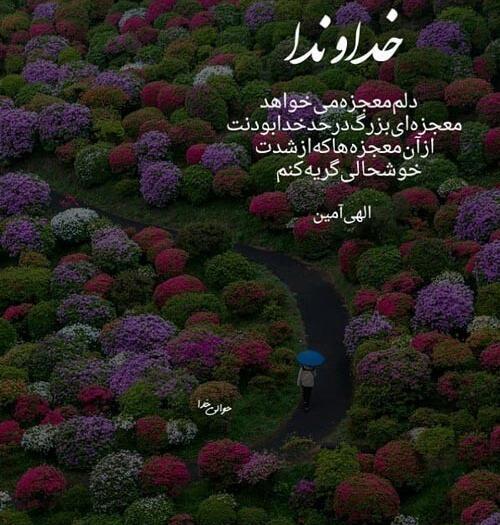 عکس نوشته خدایا دلم معجزه میخواهد