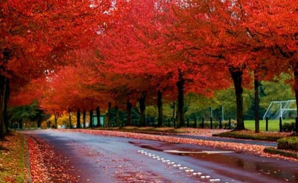 عکس قشنگ طبیعت پاییزی