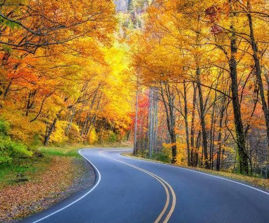 عکس قشنگ طبیعت پاییزی