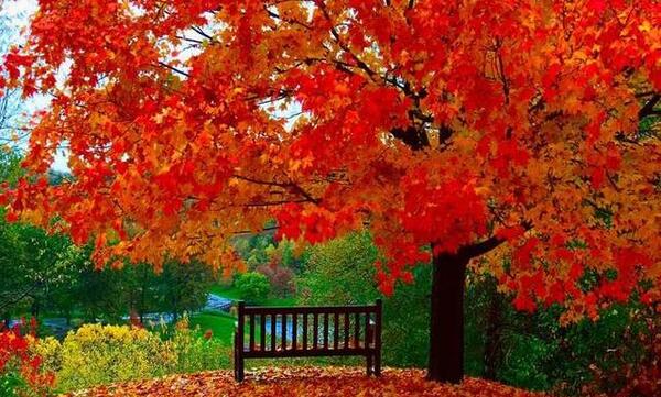 عکس قشنگ طبیعت پاییزی