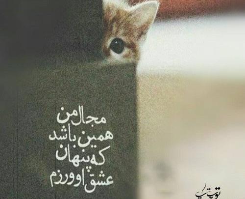 عکس نوشته دوست دارم پنهانی