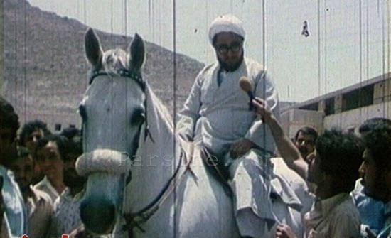 عکس اسب شاه