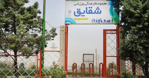 عکس زمین شقایق
