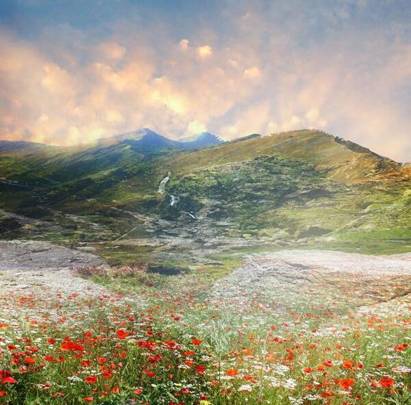 عکس طبیعت رویا