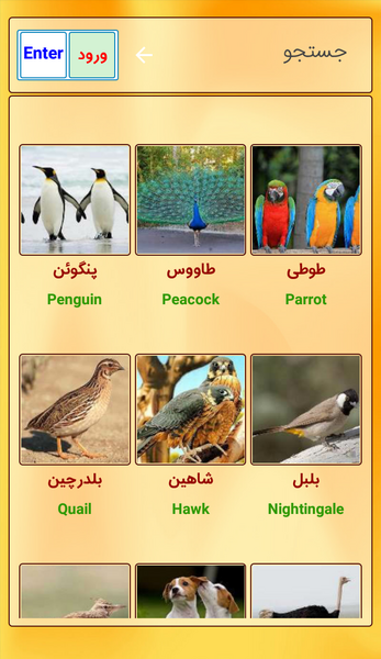 عکس حیوانات با اسم