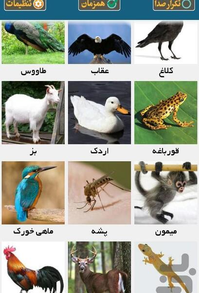 عکس حیوانات با اسم