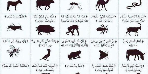 عکس حیوانات با اسم
