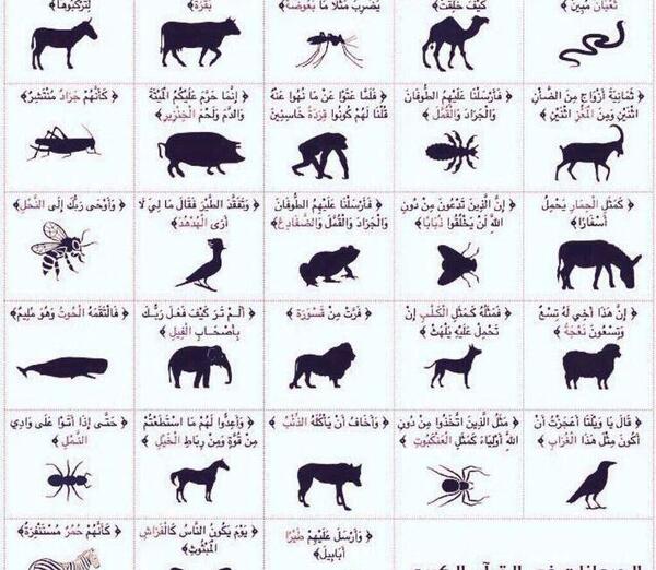 عکس حیوانات با اسم