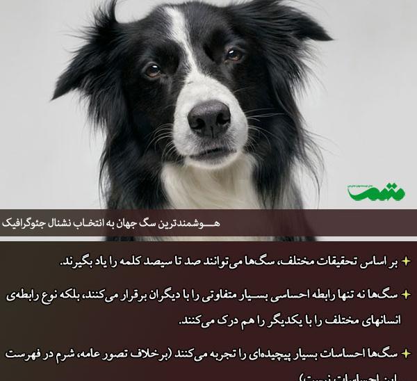 عکس حیوانات با اسم