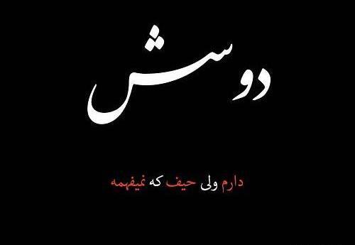 عکس نوشته دوستت دارم ولی نمیشه
