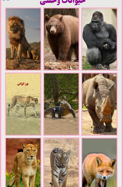 عکس بچه حیوانات وحشی
