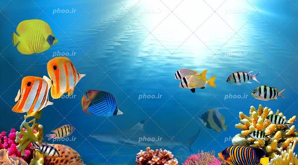 عکس دریا روشن
