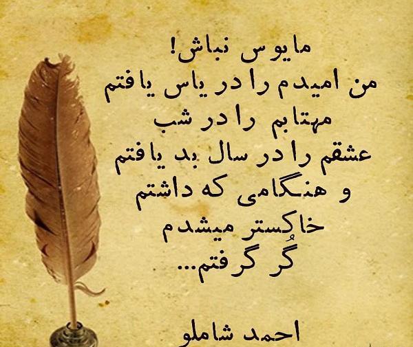 عکس نوشته ناامید شدم