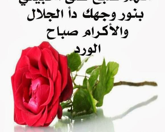 عکس شب بخیر به زبان عربی