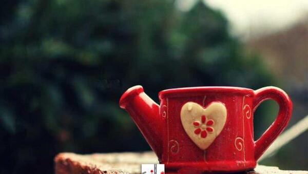 عکس قلب چینی