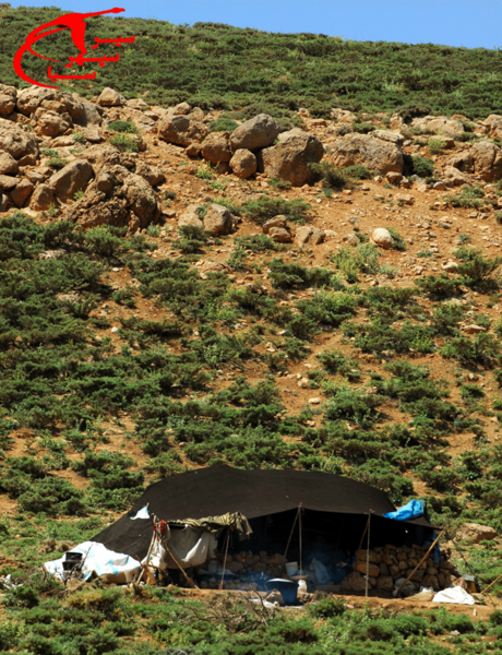 عکس خانه عشایری