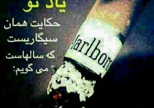 عکس لاتی شراب