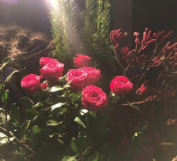 عکس گل قرمز