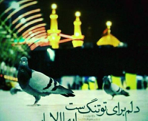 عکس پروف دخترانه حسینی