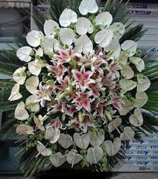عکس گل صدیقه