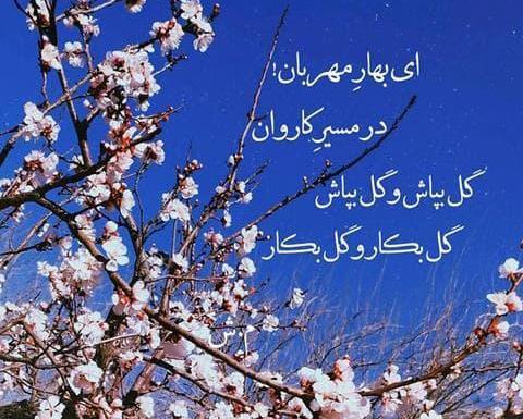 عکس استوری بهاری