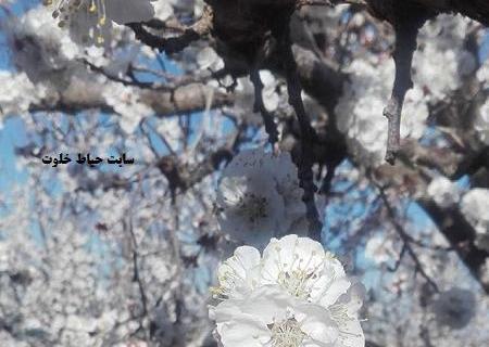 عکس نوشته پوشاک بهار