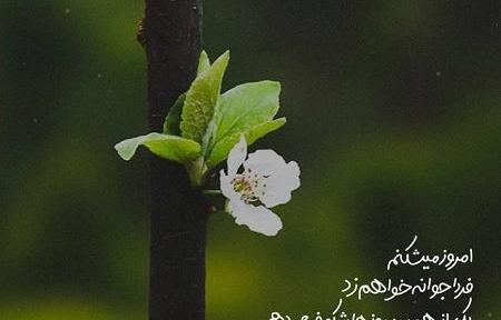 عکس نوشته پوشاک بهار