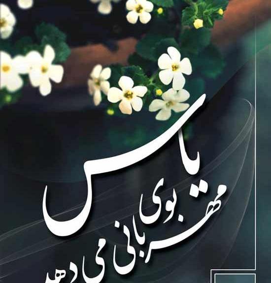 عکس گل یاس کبود