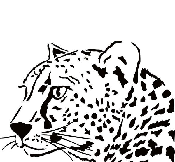 عکس یوز پلنگ نشسته