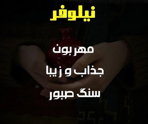 عکس نوشته نیلوفرم